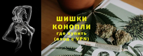 ECSTASY Белокуриха