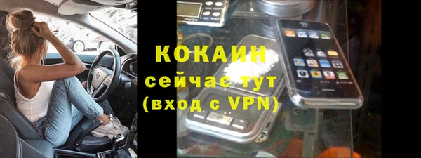 индика Белоозёрский