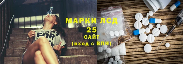 индика Белоозёрский