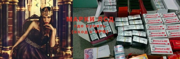 ECSTASY Белокуриха