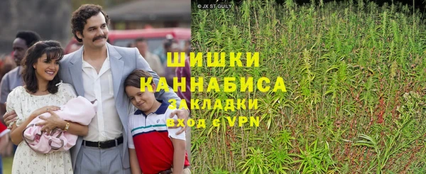 индика Белоозёрский